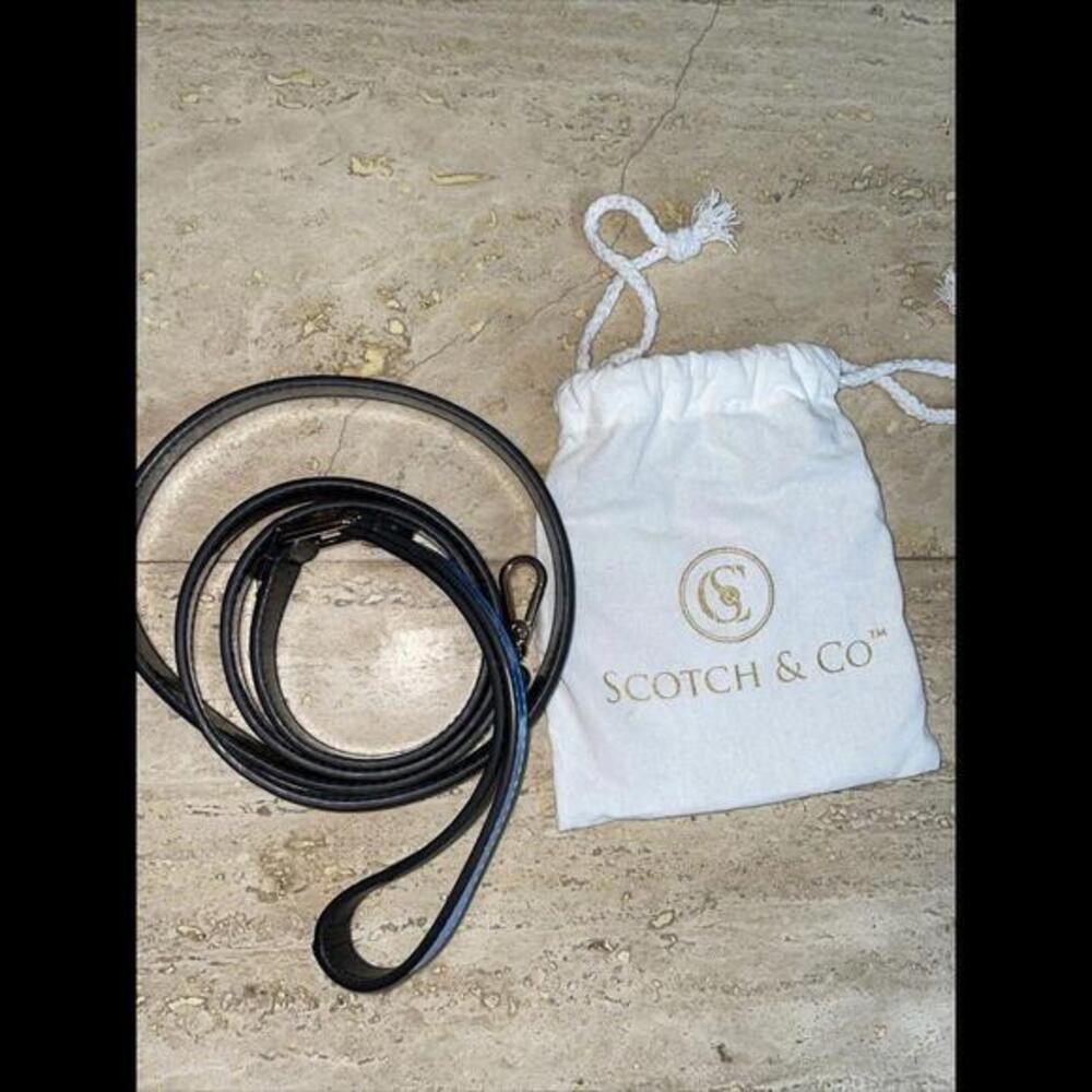 Scotch&Co Premium 5’ Pet Leash Gold Carabiners